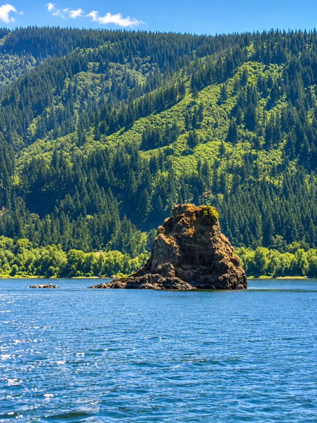 Basalt rock outcrop rising from the river in the Columbia Gorge
