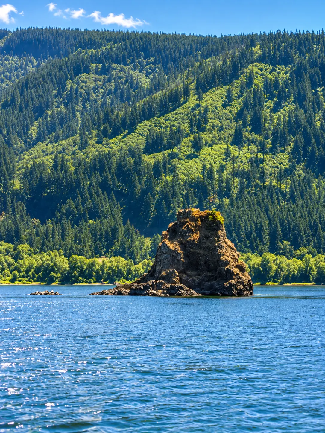 Basalt rock outcrop rising from the river in the Columbia Gorge